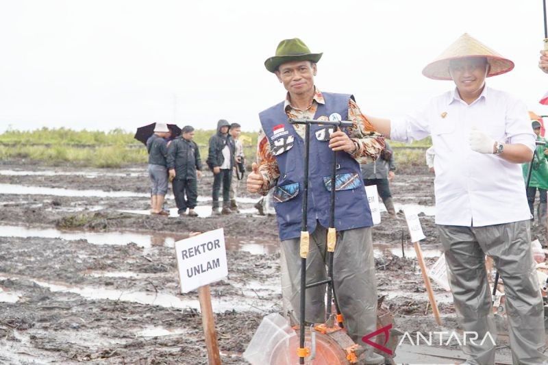 ULM Dukung Swasembada Jagung Kalsel Lewat Ahli Lahan Basah