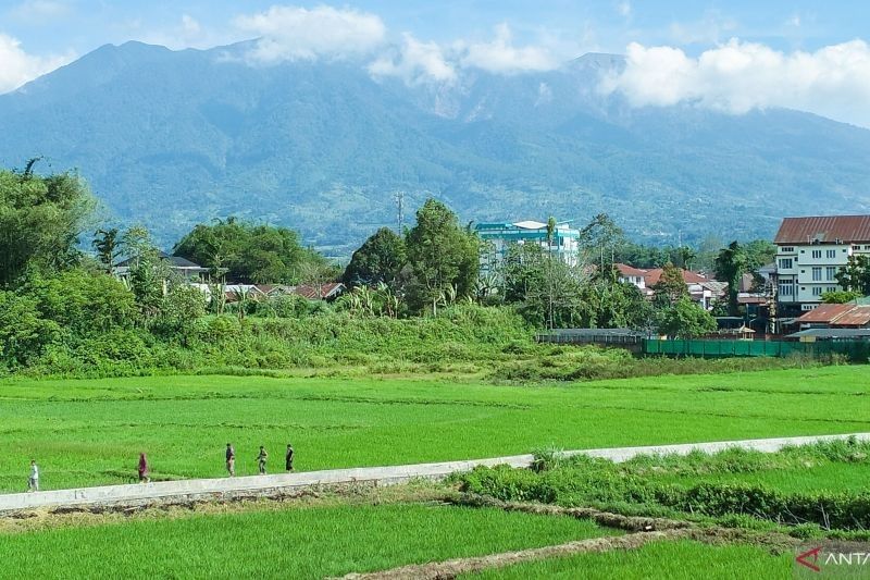 14 Kali Erupsi Gunung Marapi Guncang Sumbar di Awal 2025