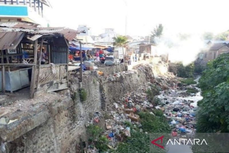 Dua Anak Meninggal Akibat DBD di Dompu, NTB: Kasus Meningkat, KLB Terancam?