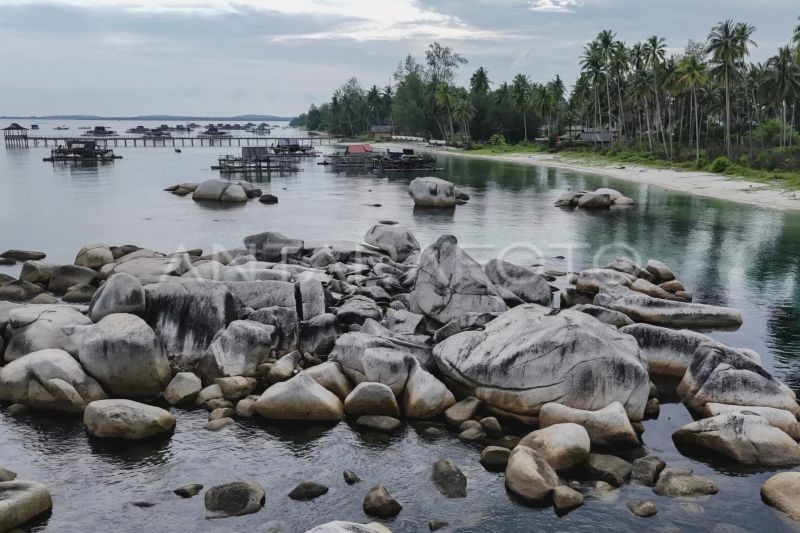 Dana Desa Bintan: Dorong Perekonomian Lokal Lewat BUMDes