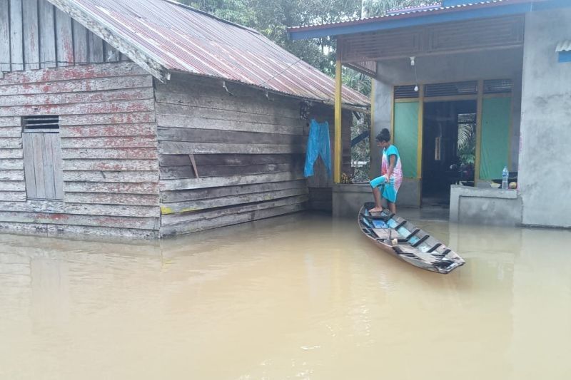 Banjir Bengkayang: 11 Kecamatan Terendam, Warga Diminta Waspada