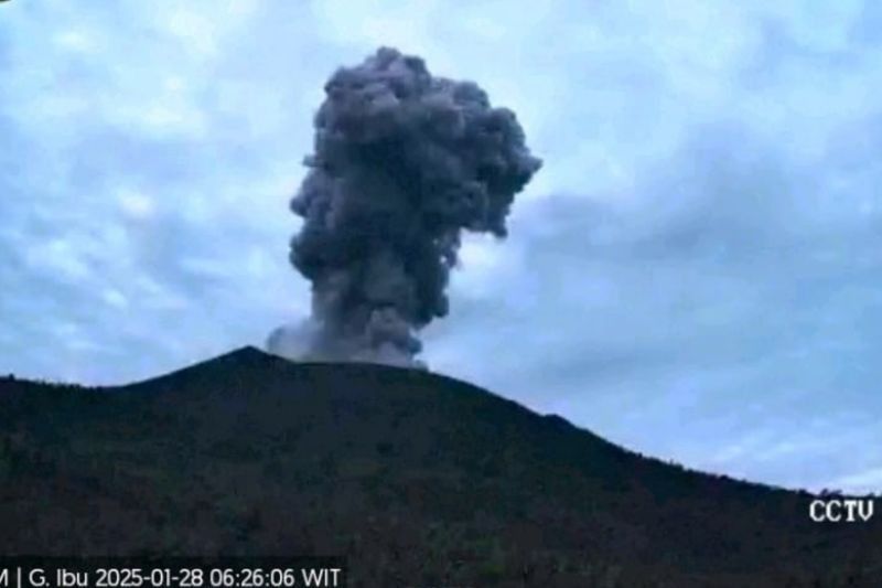 Gunung Ibu Erupsi Lagi: Lava Pijar 300 Meter, Status Awas!