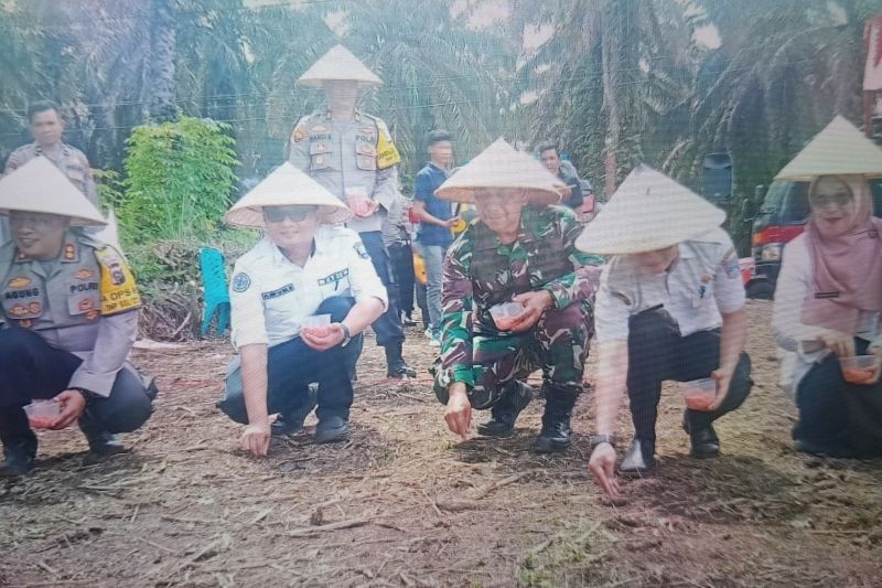 Stok Pangan Pasaman Barat Aman, Pemkab Pastikan Cukup Hingga Ramadhan