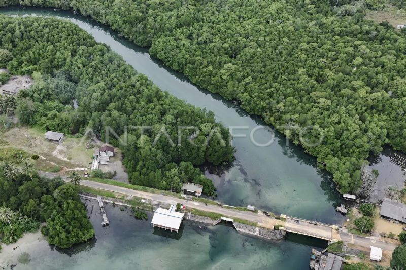 Desa-desa di Bintan: Inovasi Pariwisata dan Pertanian Dorong Ekonomi Lokal