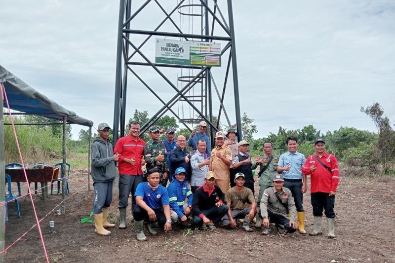 Belantara Foundation Bangun Menara Pantau untuk Mitigasi Konflik Gajah di OKI