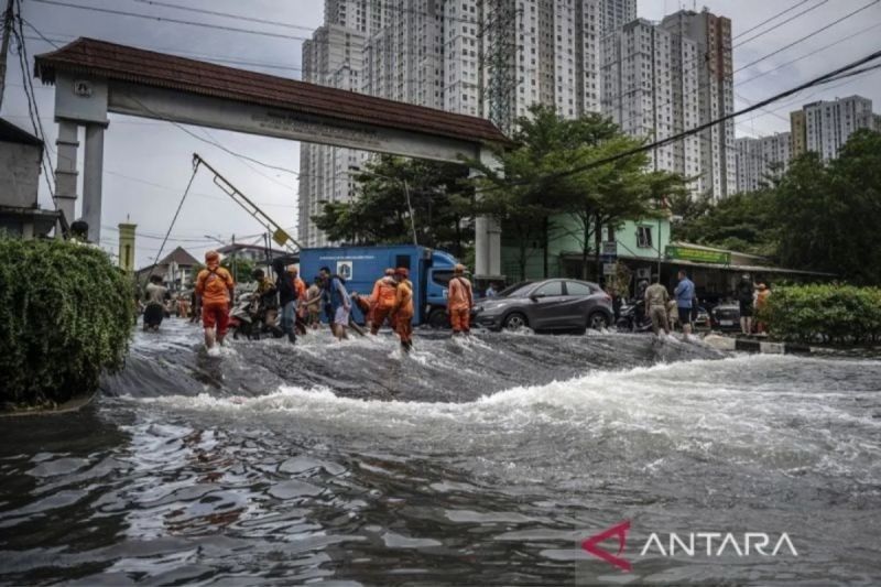 Abrasi Pantai Utara Jawa: Ancaman Serius yang Butuh Solusi Jangka Panjang