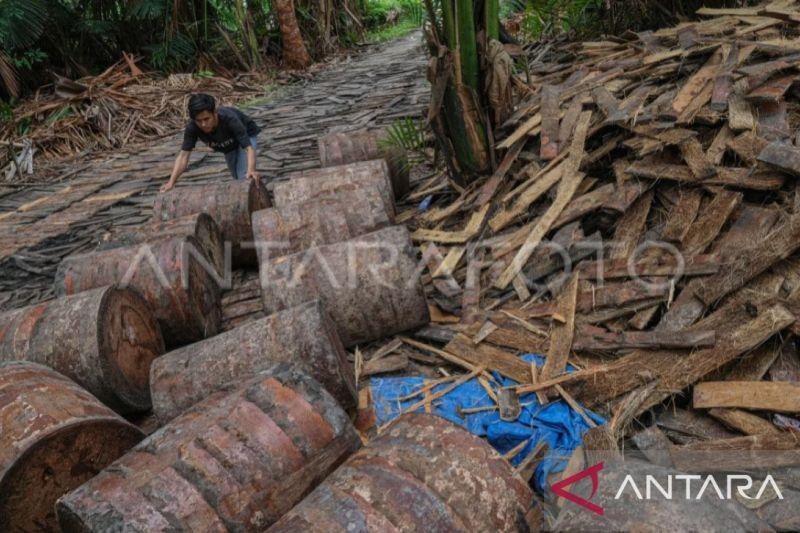 Program Mata Sagu: Inovasi Ketahanan Pangan di Maluku