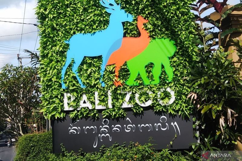 Lonjakan Pengunjung Bali Zoo 100% Selama Libur Isra Miraj dan Imlek