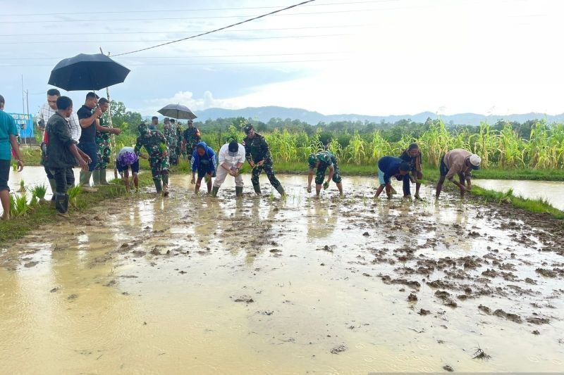 BI NTT dan TNI Jalin Kolaborasi Sukseskan Swasembada Pangan di Perbatasan