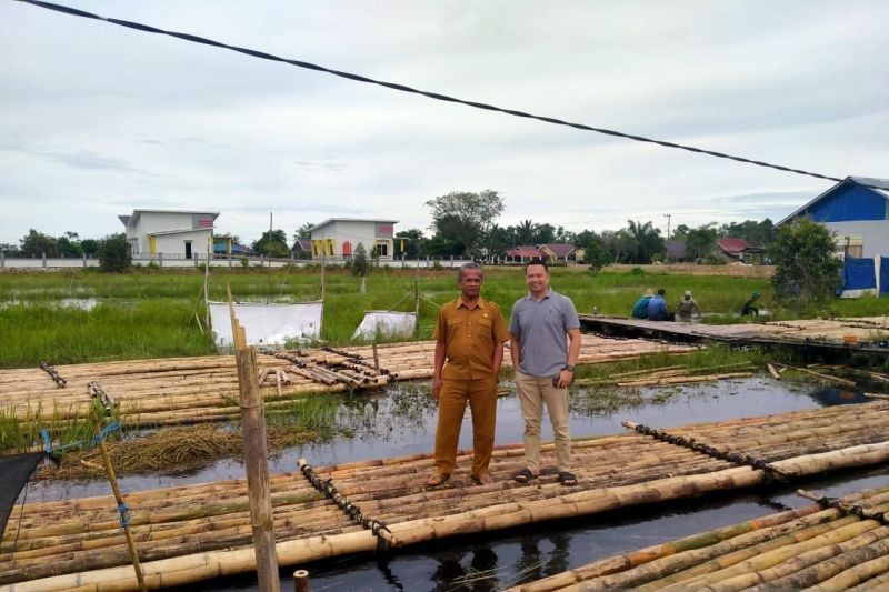 Petani Tapin Inovasi Budidaya Cabai Hiyung Apung Antisipasi Cuaca Ekstrem