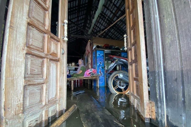 Banjir di Enam Kecamatan Tapin, Kalsel: Ratusan KK Terdampak, Tak Ada Korban Jiwa