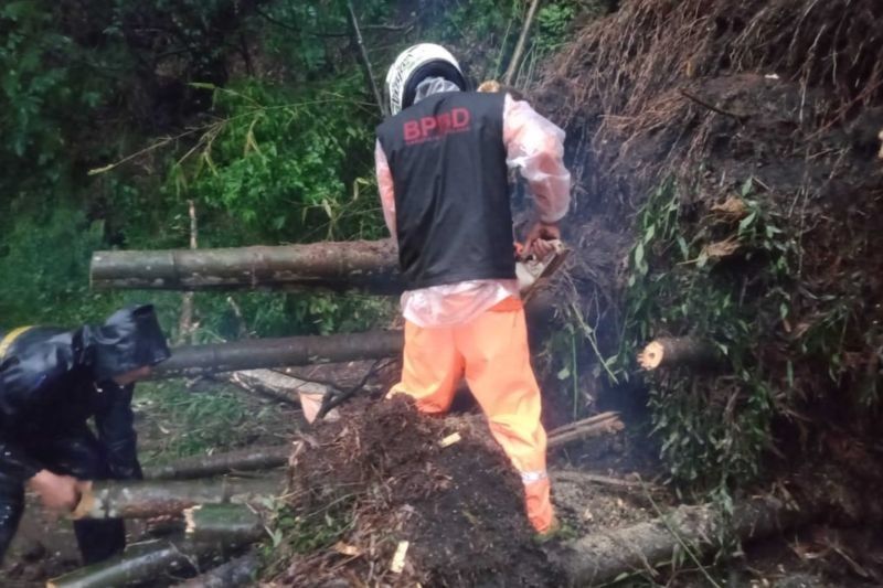 Longsor di Pujon Tutup Jalur Malang-Kediri, BPBD Bersihkan Material