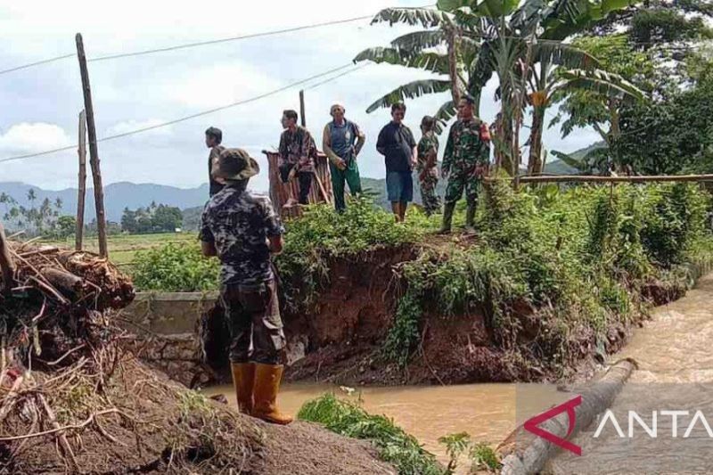 100 Hektare Lahan Padi di Dompu Terancam Gagal Panen Akibat Banjir