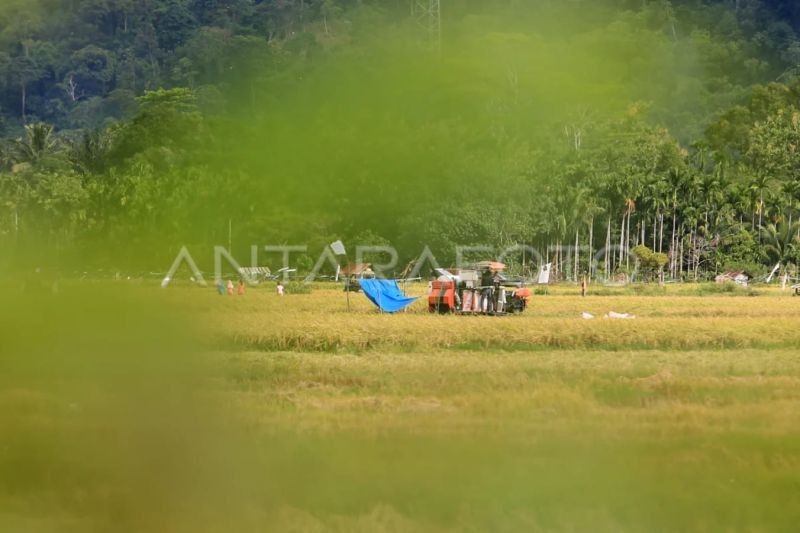 Kementan Optimalkan Lahan Bekas Tsunami Aceh untuk Sawah