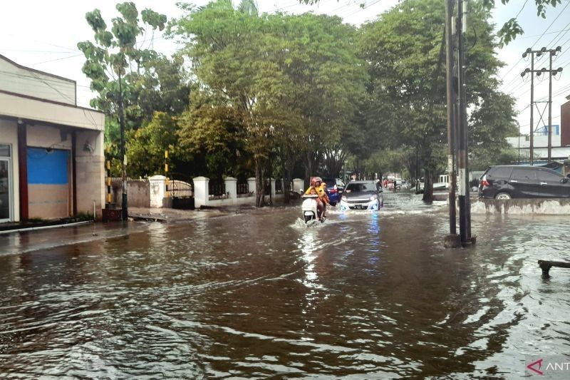 Waspada Banjir dan Pohon Tumbang di Gorontalo! BPBD Imbau Warga Tingkatkan Kewaspadaan