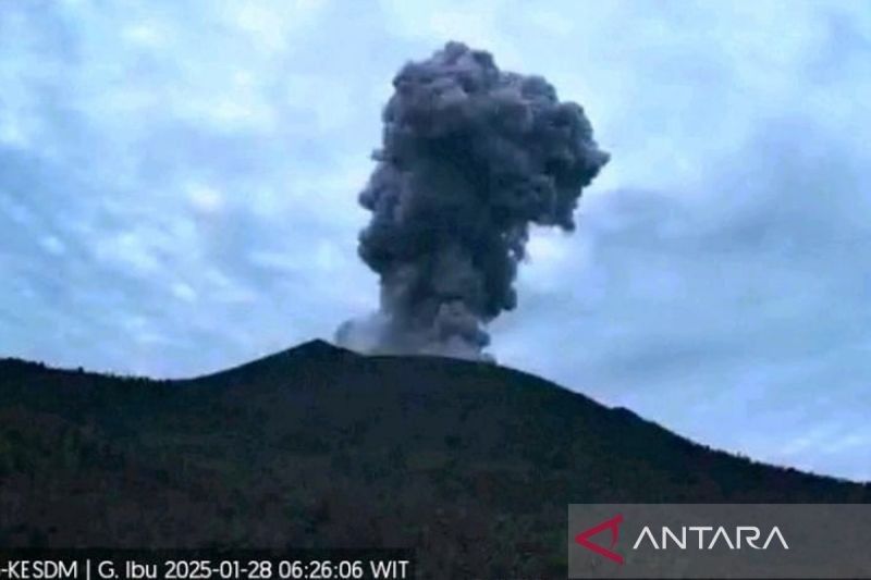 Status Gunung Ibu Diturunkan: Siaga Level III, Radius Bahaya 4 Kilometer