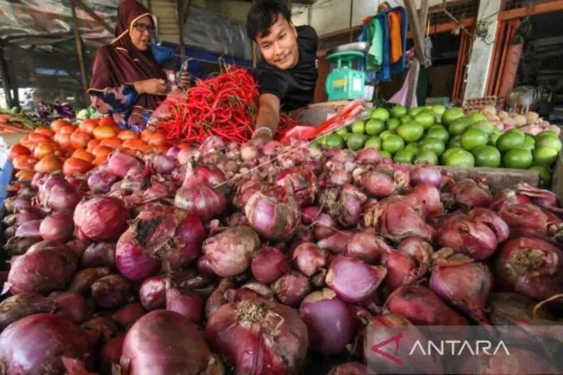 Harga Pangan Nasional 30 Januari 2025: Bawang Merah Tembus Rp45.000/kg