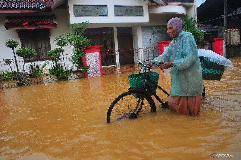 BMKG Peringatkan Banjir Rob di Jakarta Akibat Hujan Ekstrem dan La Nina Lemah