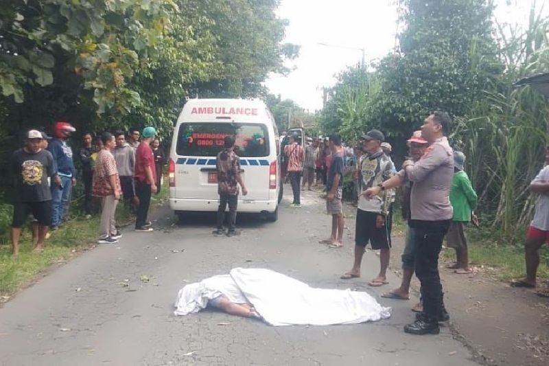 Kecelakaan Maut: Pelajar Tewas Tertimpa Pohon Tumbang di Kediri