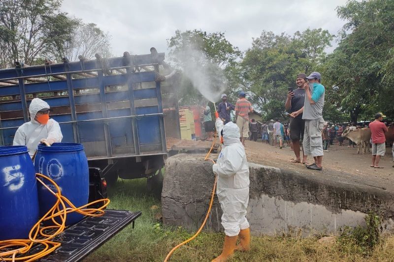 Kasus PMK di Jateng Mulai Melandai: Vaksinasi dan Pencegahan Jadi Kunci