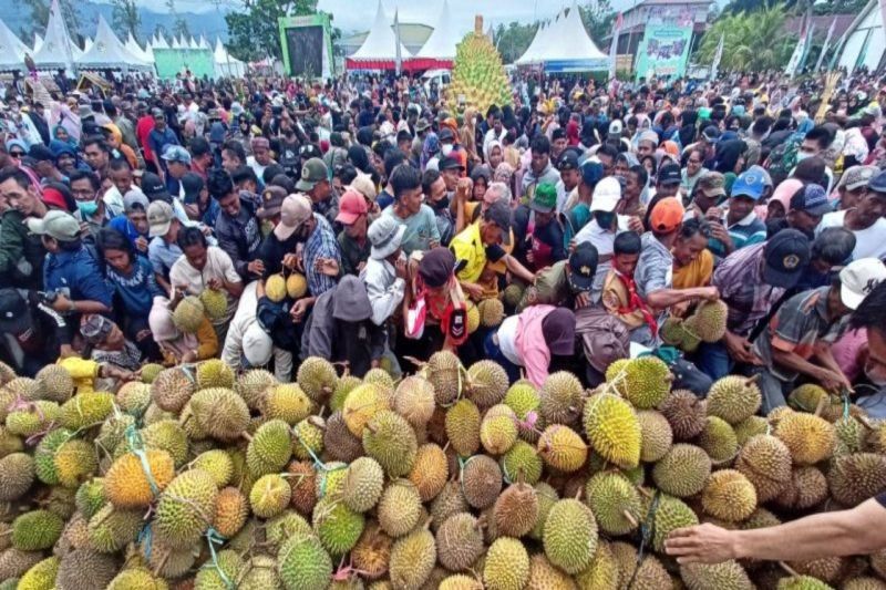 1,2 Juta Pohon Durian Sulteng Siap Ekspor ke Tiongkok