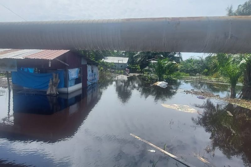 Banjir Siak: 50 Warga Mengungsi, Dinsos Dirikan Tenda dan Dapur Umum