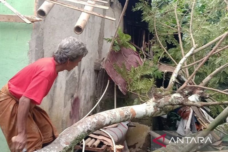 Angin Kencang Sukabumi: 8 Titik Pohon Tumbang, 9 Rumah Rusak