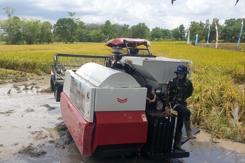 Sumsel Gandeng Korem Gapo Cetak Sawah Baru, Target 3 Juta Ton Beras di 2025