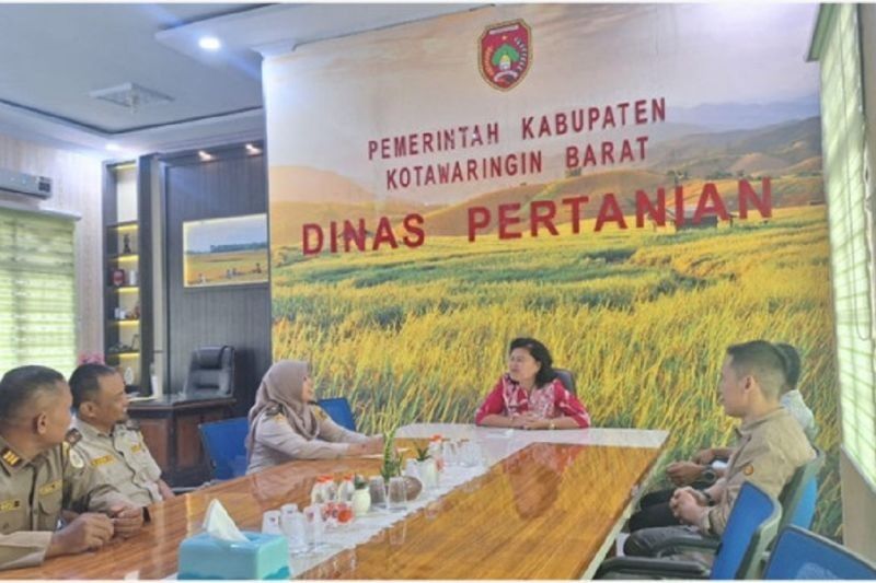 Kobar Ajukan 3.000 Vaksin PMK ke Kementan Antisipasi Idul Fitri dan Idul Adha