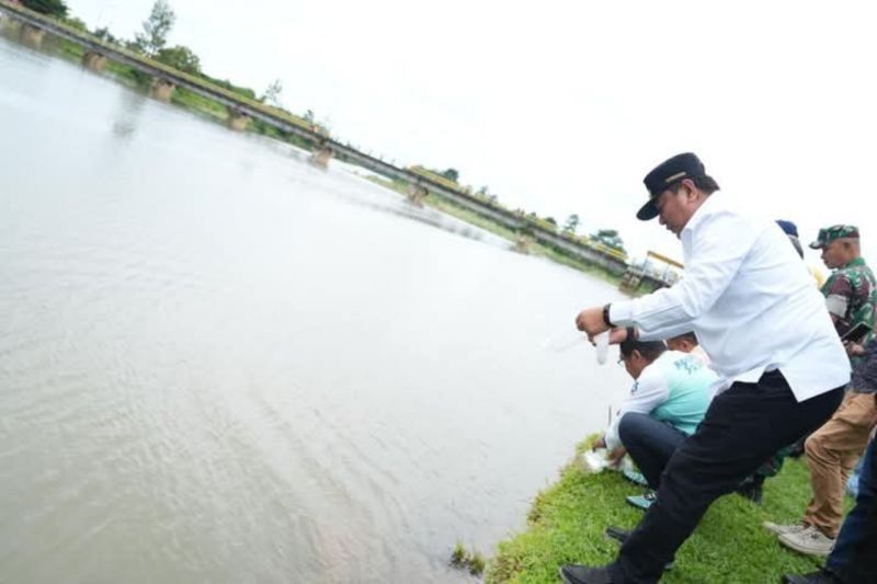 Polman Kembangkan Budidaya Ikan Nila di Bendungan Sekka-Sekka