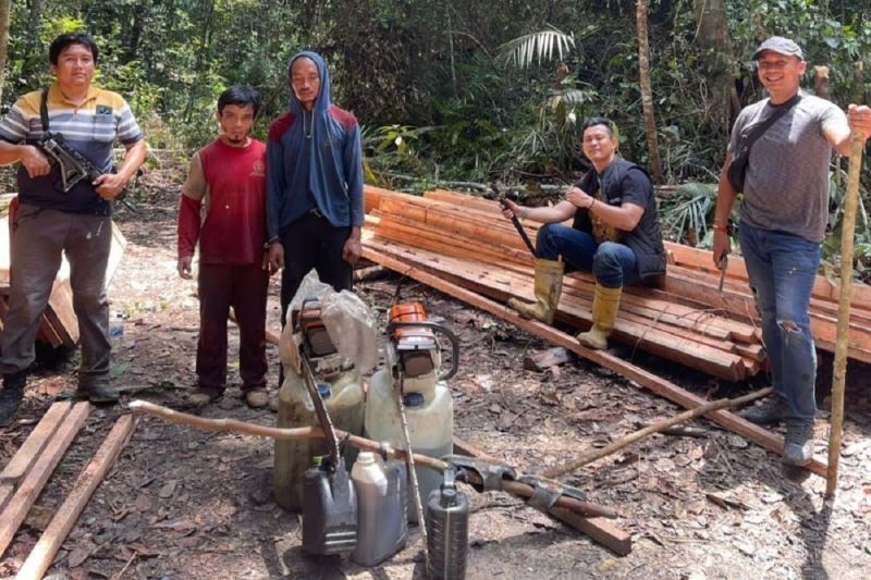 Tujuh Perambah Hutan Liar Ditangkap di Rimba Baling, Riau