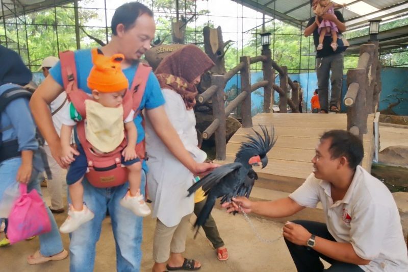 Semarang Zoo: 5.411 Wisatawan Kunjungi Selama Libur Panjang