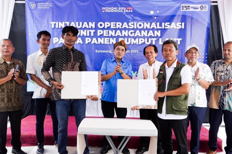 KKP Dorong Hilirisasi Rumput Laut di Karawang untuk Penuhi Gizi Nasional