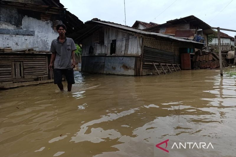 Banjir Pati: 108 Rumah Terdampak, 301 Jiwa Terdampak di Tujuh Desa