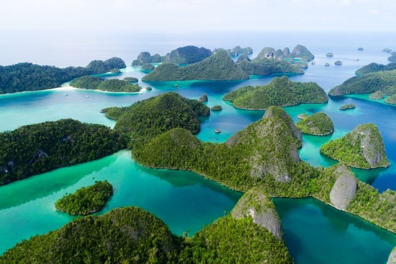 KKP Jaga Populasi Pari dan Hiu Raja Ampat untuk Dukung Wisata Bahari