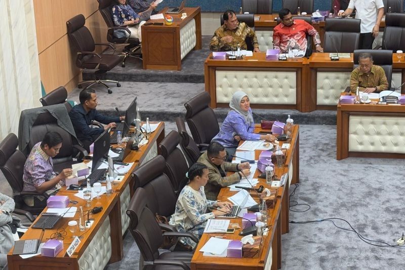 DPR Desak Pemerintah Atasi Lonjakan Harga Migor dan Impor Singkong