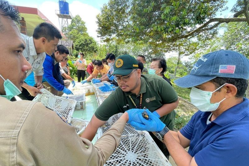 700 Burung Diselundupkan di Merak, Gagal! Aksi Penyelundupan Digagalkan