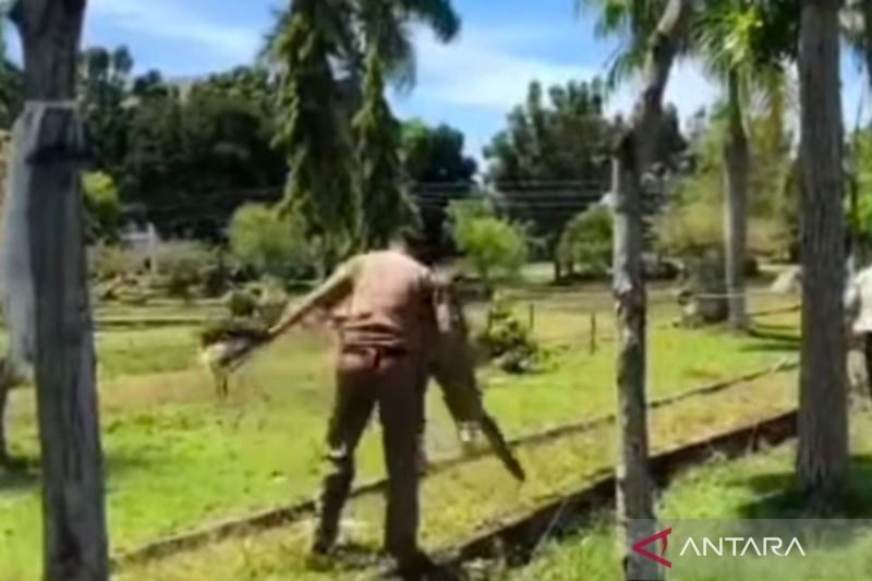 Satpol PP Mukomuko Bongkar Kapling Ilegal di Lokasi Pameran UMKM