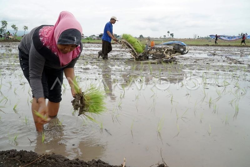 DKI Jakarta Jalin Kerja Sama Pangan dengan Sidoarjo, Tingkatkan Ketahanan Pangan