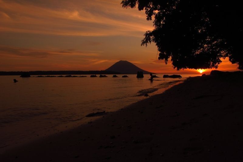 Wisata Unik 'Hunting Tarsius' di Bunaken, Sulawesi Utara