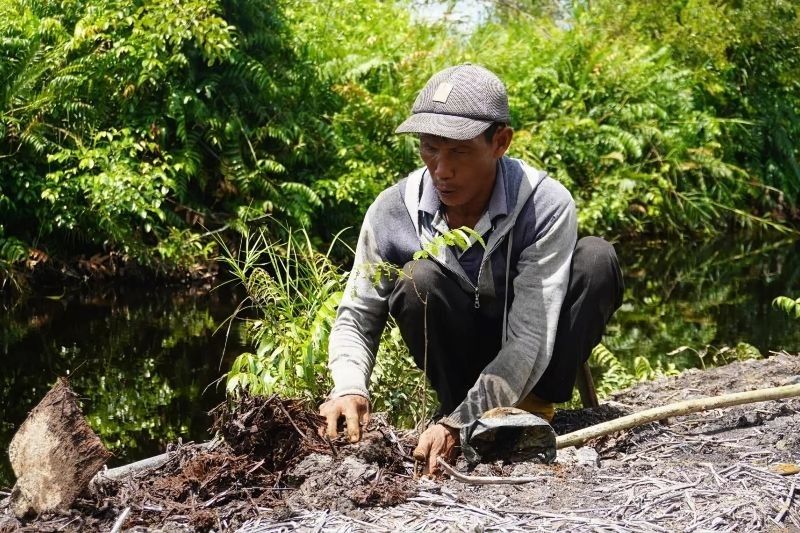 Walhi Desak Pemerintah Hentikan Kerusakan Lahan di Kalbar, Cegah Banjir Berulang