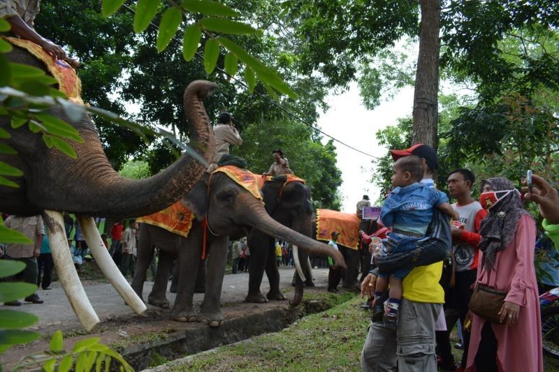 Festival Way Kambas Kembali Digelar: Konsep Baru Ramah Lingkungan dan Masyarakat