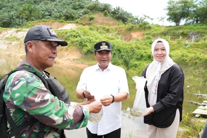 Penjabat Gubernur Sulbar Kembangkan Budidaya Ikan Nila di Sungai Budong-Budong