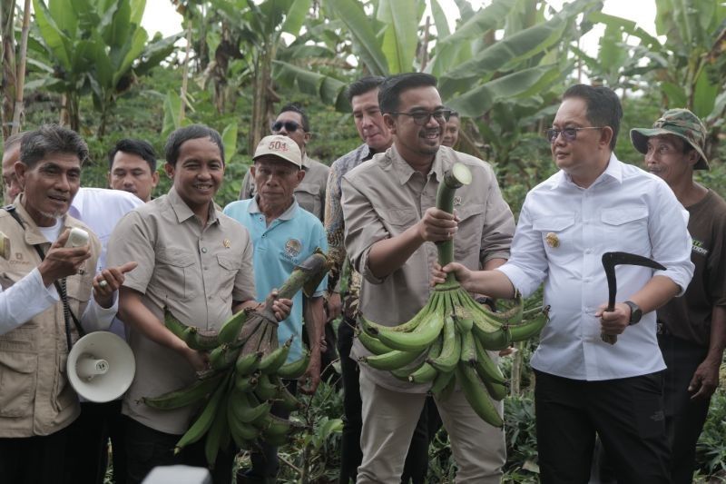 Sukses IAD Lumajang: Perhutanan Sosial Tarik Perhatian Dunia