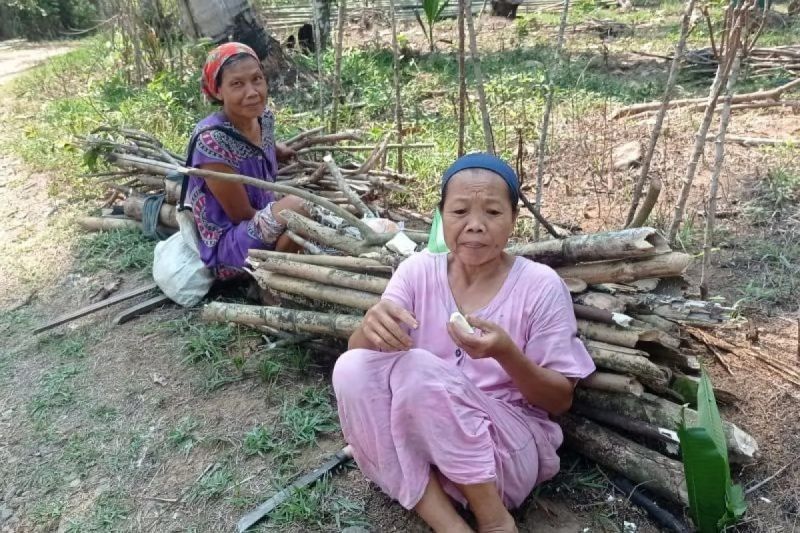 Kayu Bakar: Solusi Masak Warga Lebak di Tengah Kelangkaan Elpiji