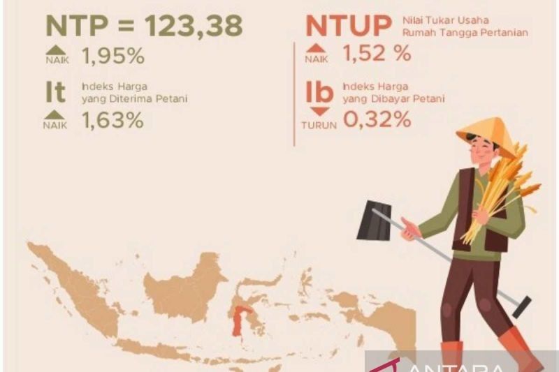 NTP Sulsel Naik 1,95 Persen di Januari 2025: Daya Beli Petani Meningkat