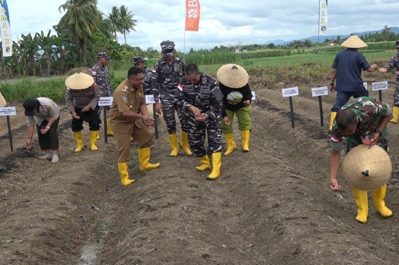 Ketahanan Pangan Jayapura: Kerja Sama Forkopimda Jadi Kunci