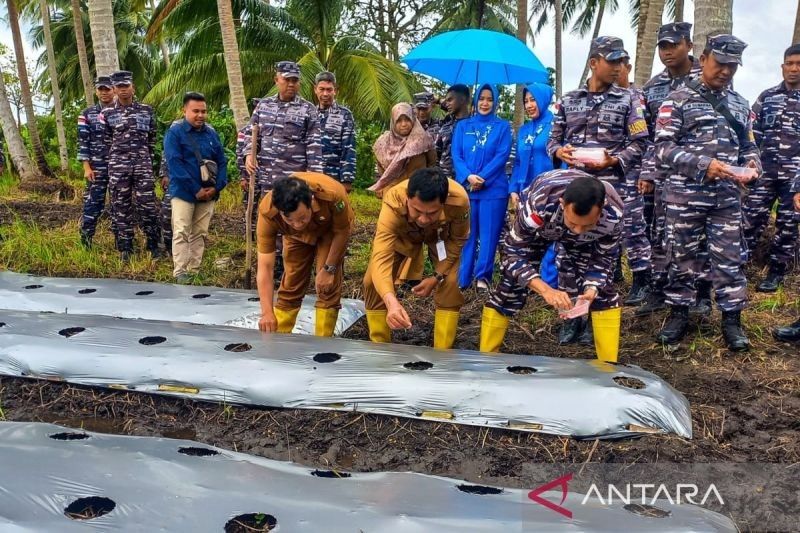 Lanal Ranai Tanam 7.200 Bibit Jagung untuk Ketahanan Pangan Natuna