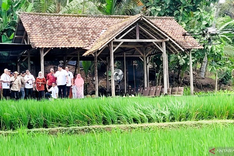 Menko Zulhas Dorong Banyuwangi Bagikan Konsep Pertanian Milenial