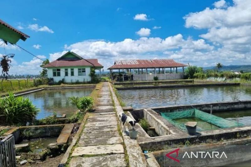 Rp1,27 Miliar untuk Tingkatkan BBI Karmio, Jambi